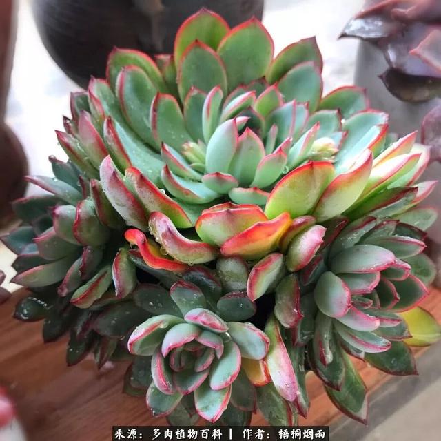 p7gNgXxuF7FcdQ6x.jpg