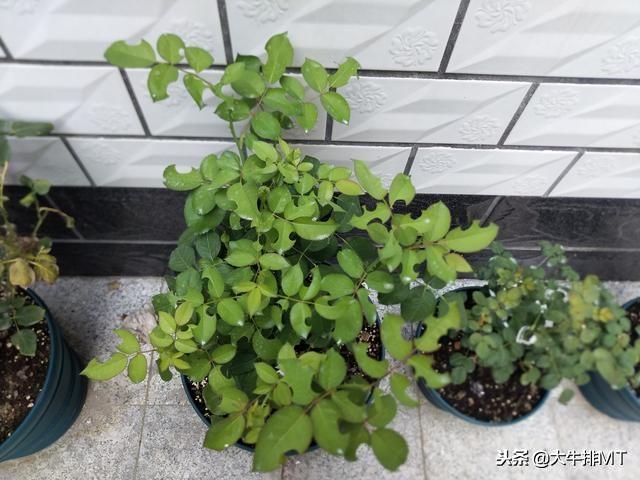 QE9J4Cssh8eoLx2s.jpg