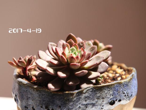 D84foTffeDBt11em.jpg