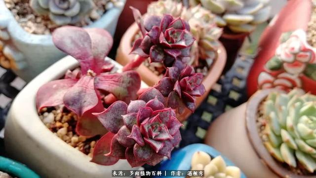 Qq678dDBwuDF3HWe.jpg