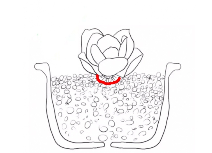 RRR24R558oe8o98J.jpg