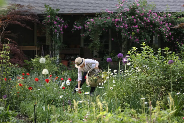 1553825025961615.png image.png