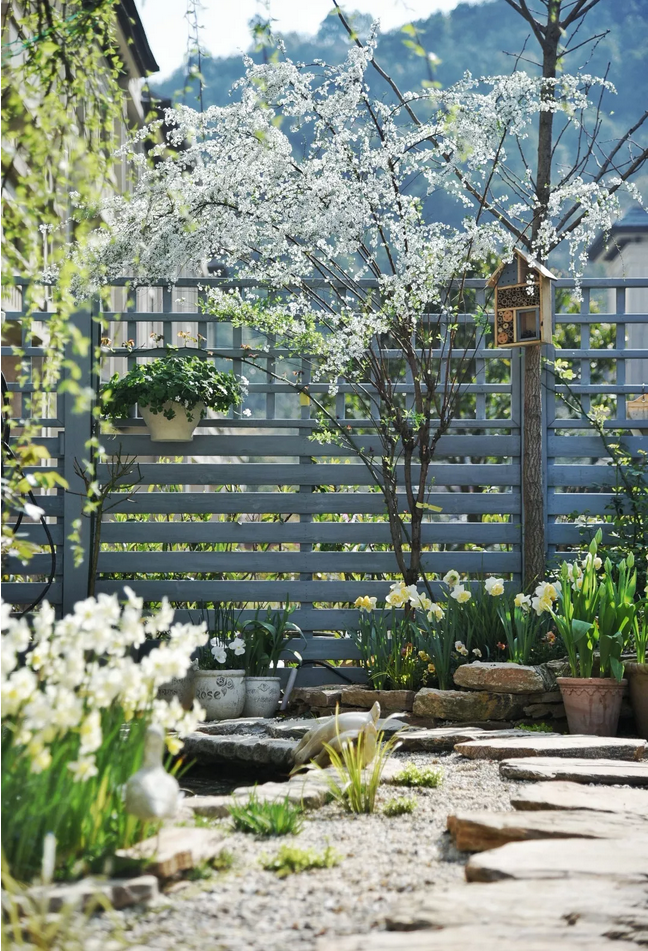 1553825073734085.png image.png