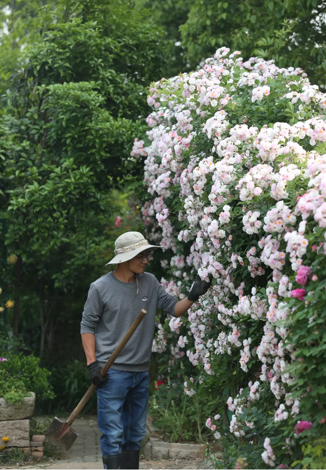 1553825173153033.png image.png