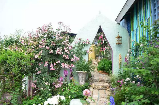 1553825222441763.png image.png