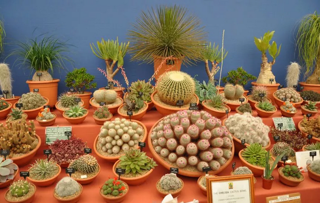 1553825280235481.png image.png