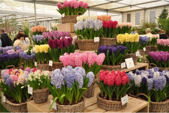 1553825300273377.png image.png