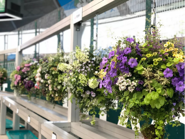 1553825313873989.png image.png