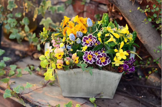 1553825326221274.png image.png