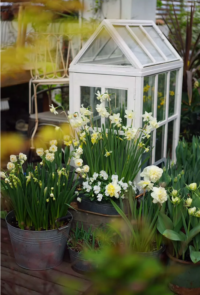 1553825370694610.png image.png