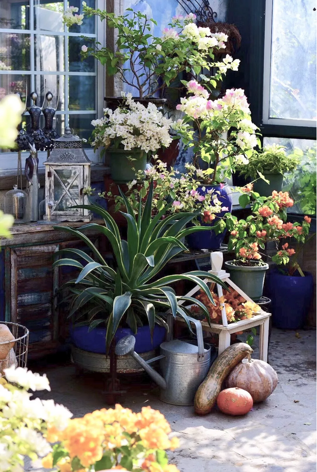 1553825978676076.png image.png