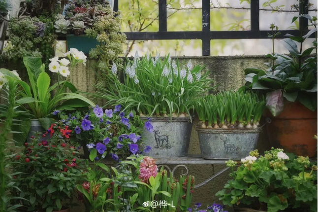 1553826013153628.png image.png