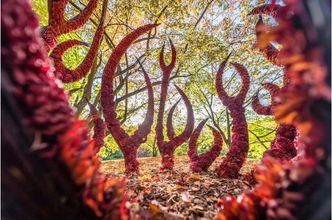 1553826059370455.png image.png