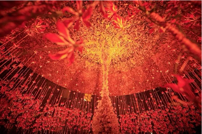 1553826759796871.png image.png