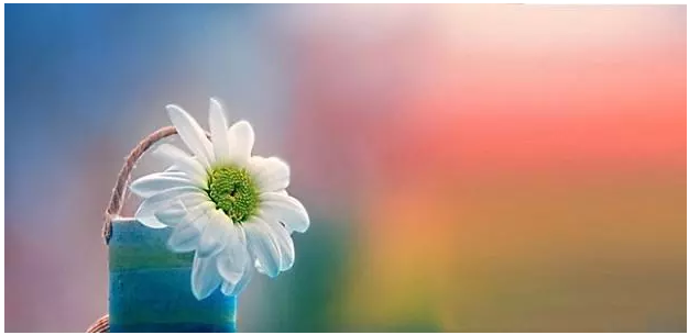 1552635183890595.png image.png