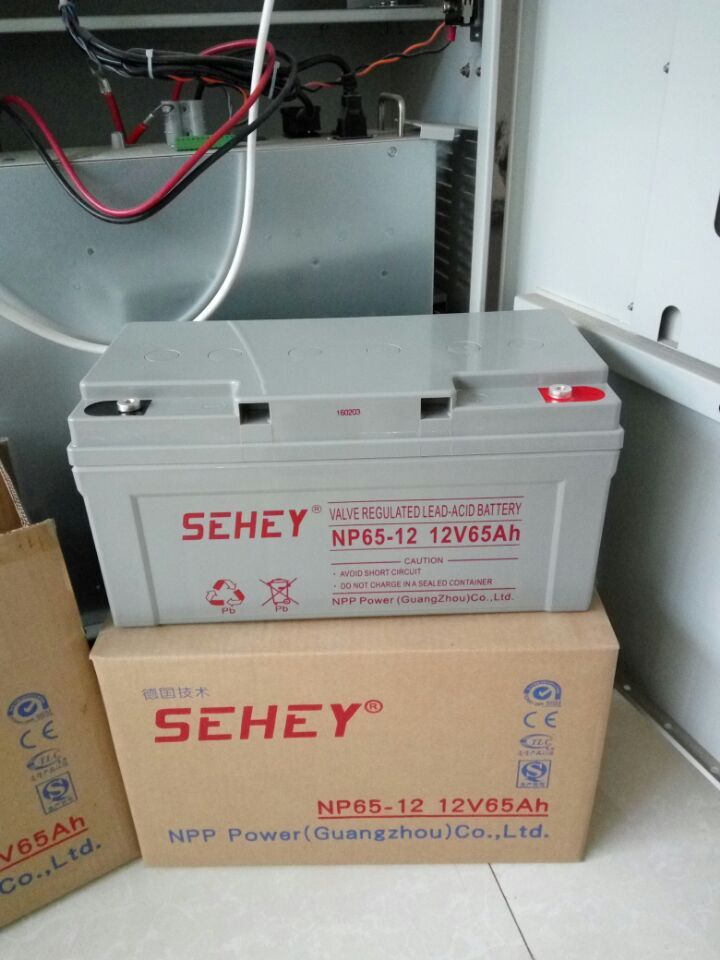 1553604635156706.jpg 65D.jpg