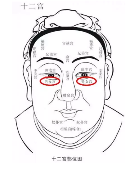 男女宫也叫子女宫,儿女宫,为了方便起见,我们在节目里统一叫子女宫.