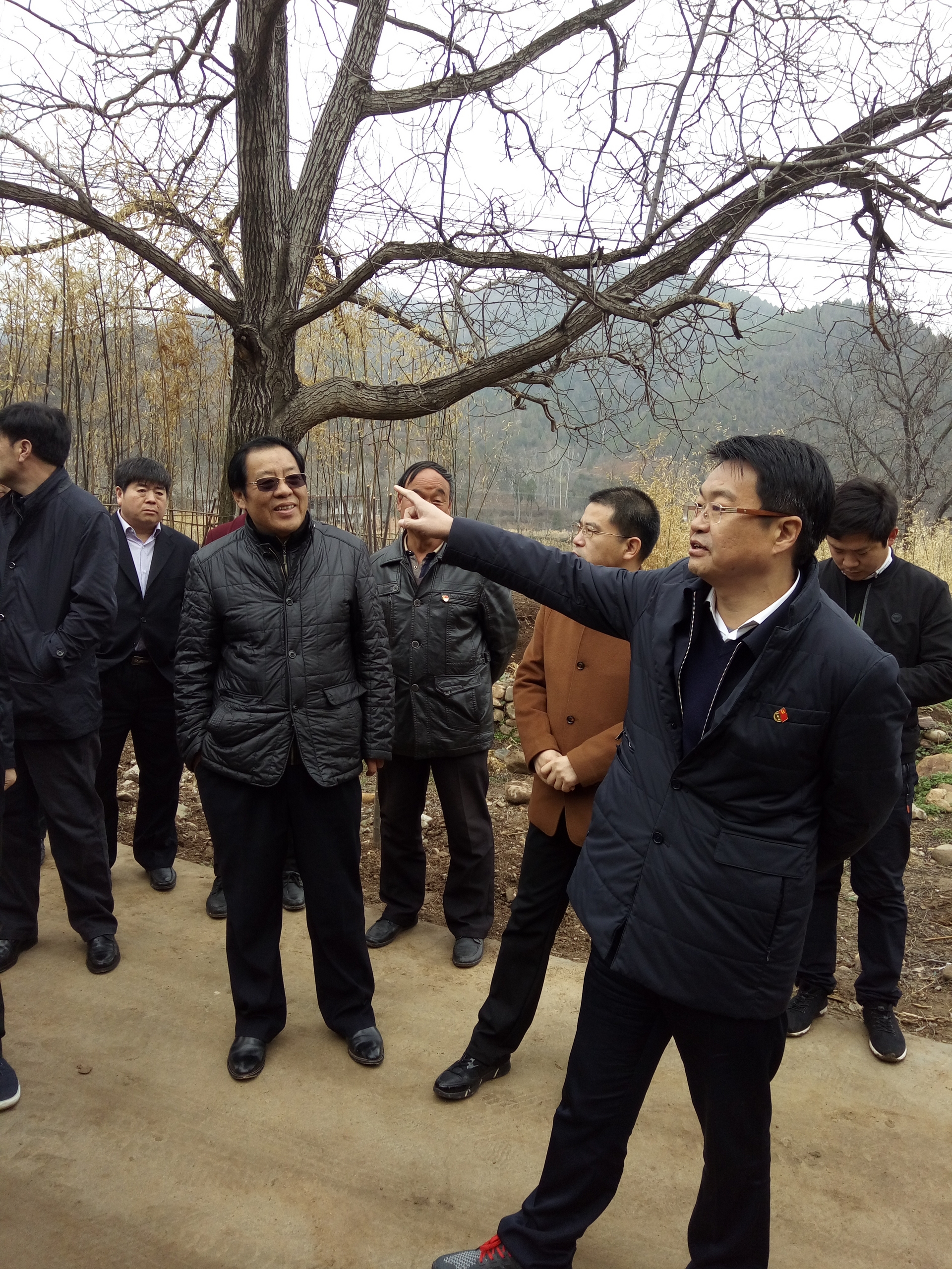 com      【办公地址】三门峡灵宝市朱阳镇王家村 13608661122 &