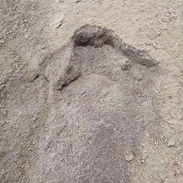 发酵羊粪