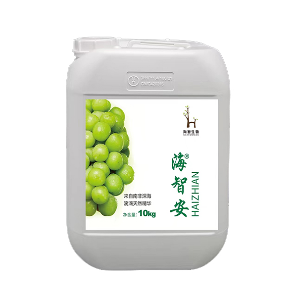 海智安