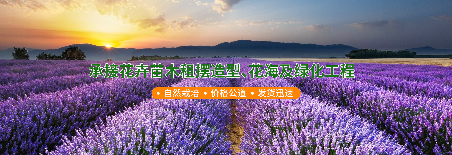 花卉租摆售后服务方案