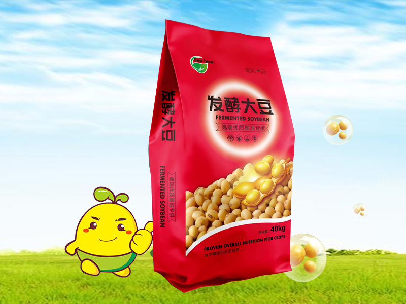 發(fā)酵大豆
