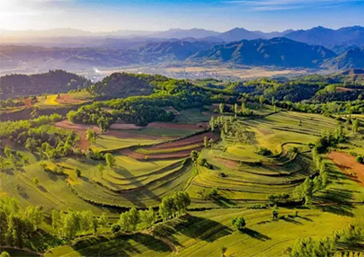 半山柿农 项目背景