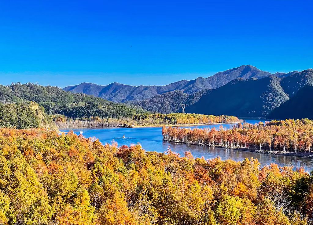 金秋十月华东双飞7日游 “皖南川藏线”既有桂林山水之美  云南石林之奇 还有北疆喀纳斯之貌