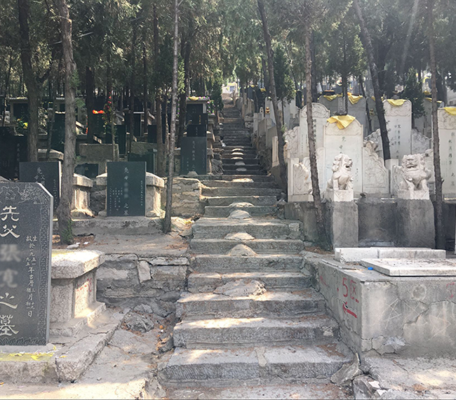 玉顶山公墓单穴