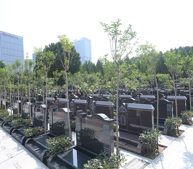 玉顶山公墓墓区展示