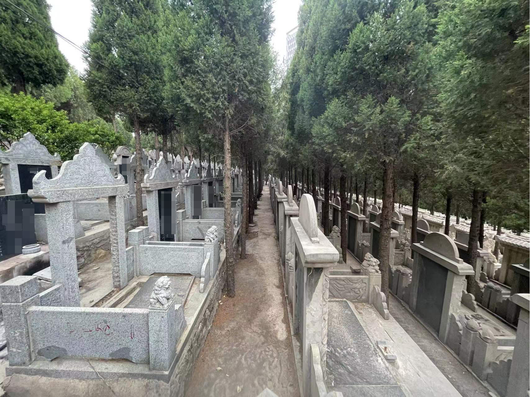 玉顶山公墓：传统墓园的现代转型实践