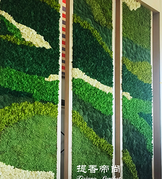 提香帝尚永生苔藓和中欧国际商学院苔藓项目合作圆满成功