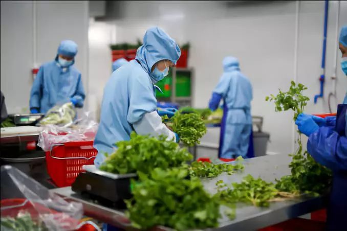 餐饮配送图片