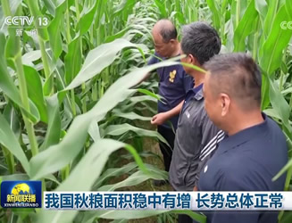 我国秋粮面积稳中有增 长势总体正常