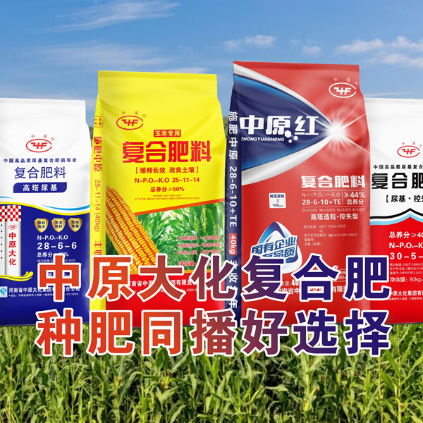 玉米“种肥同播”如何才能不“烧苗”