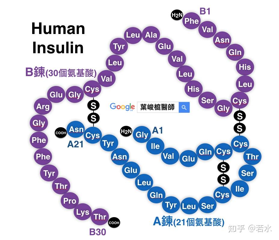 网站建设中...