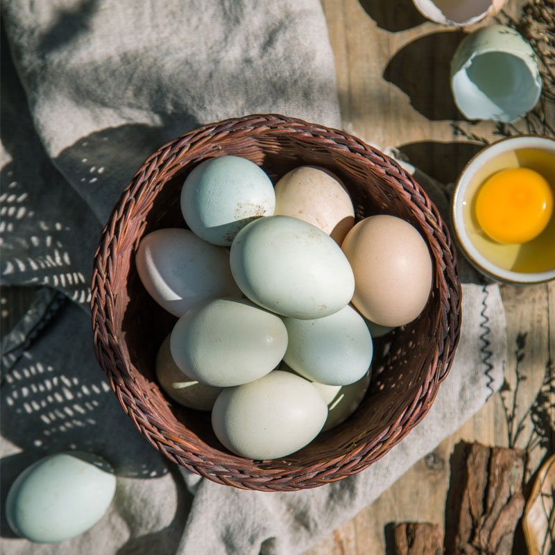 桃源竹林飞鸡蛋 40枚