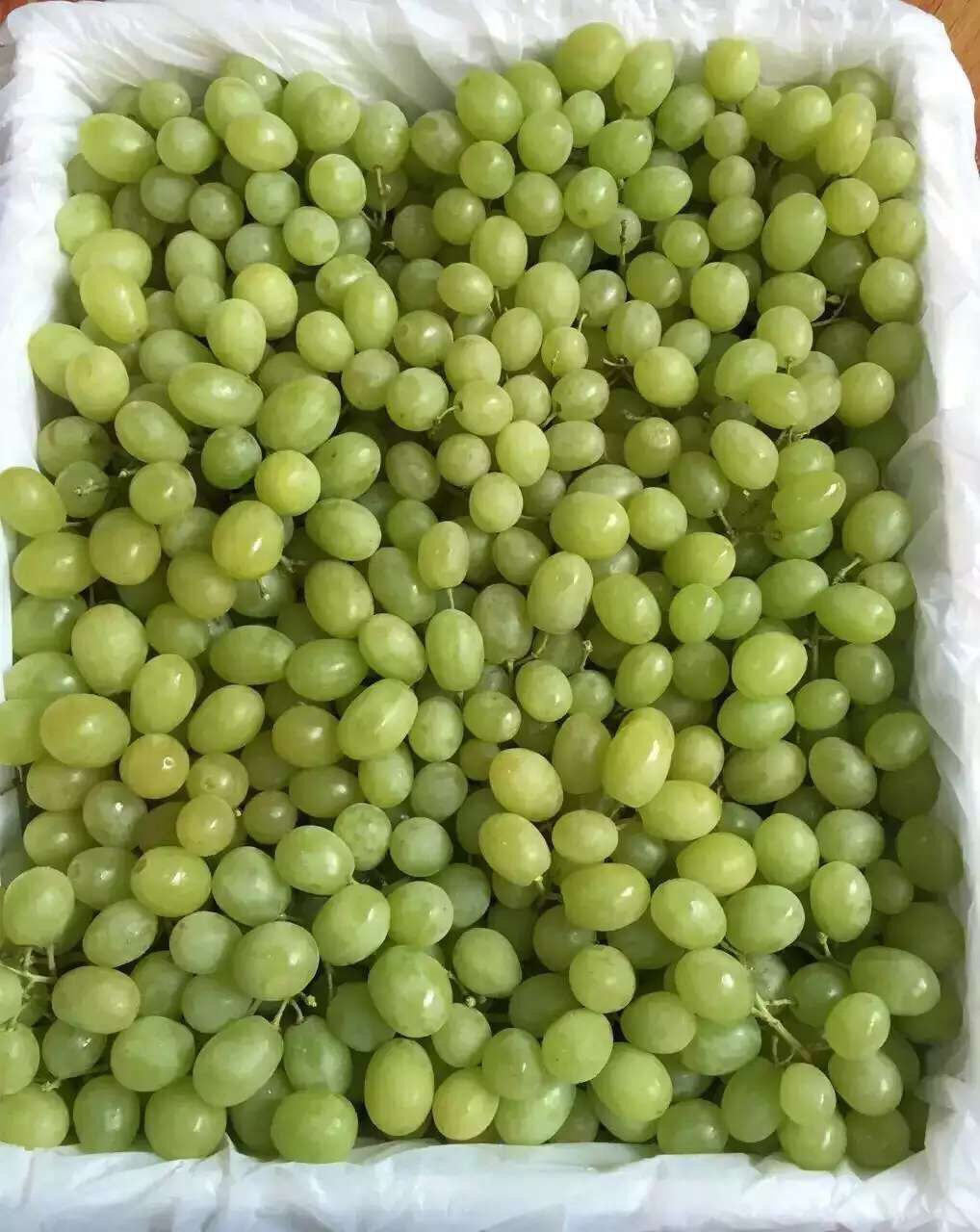 新疆吐鲁番鲜葡萄无籽青提4kg每箱