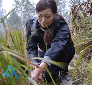 南充籍演员 唐丽:我会用自己一生的经历演绎出人间真情