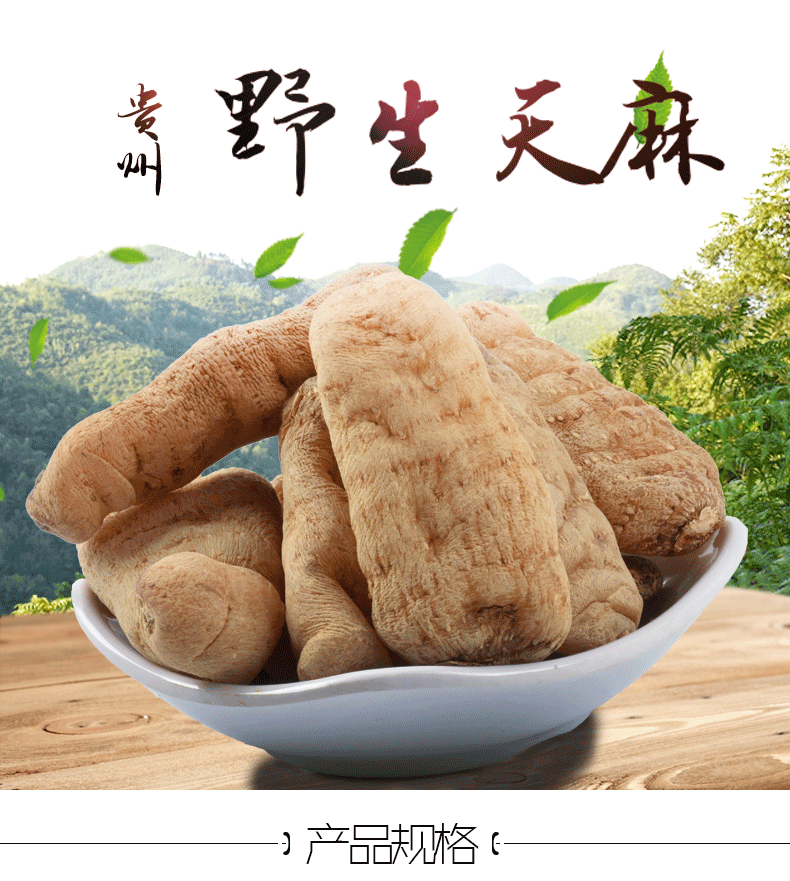 贵州农家土特产产地全干天麻 野生天然无硫正品 散装批发-广东壹言力