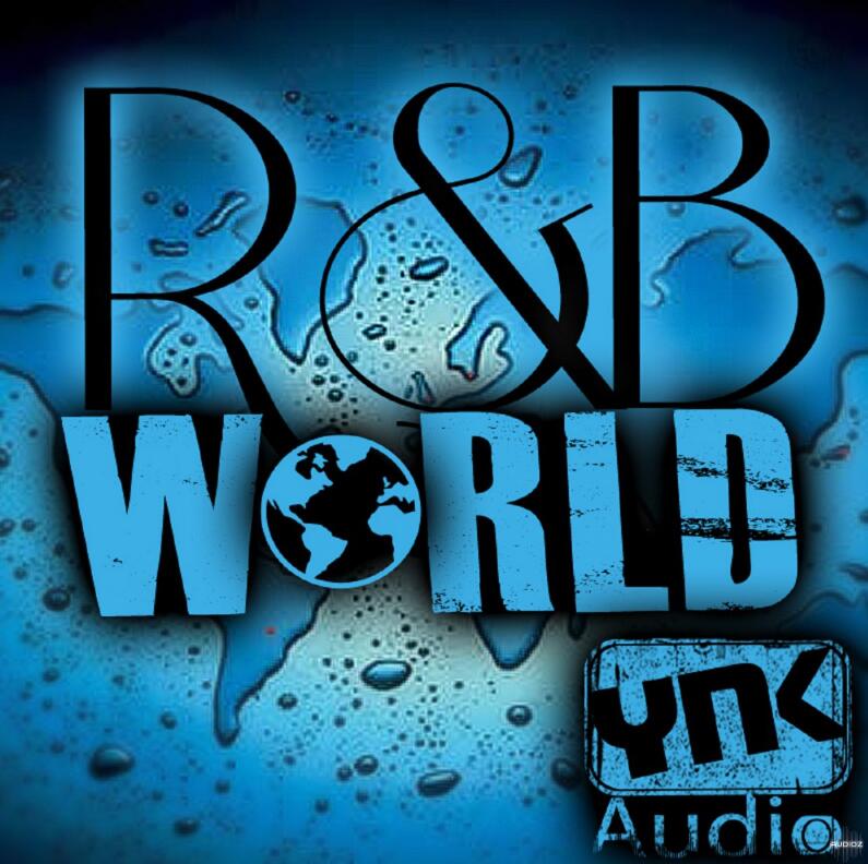 01123 ynk audio rnb world wav acid aiff apple loops