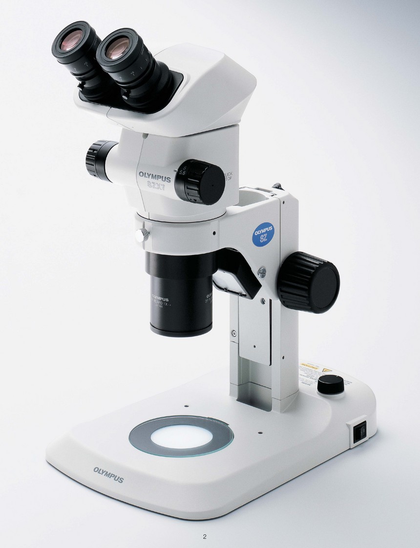 瞳孔显微镜图片