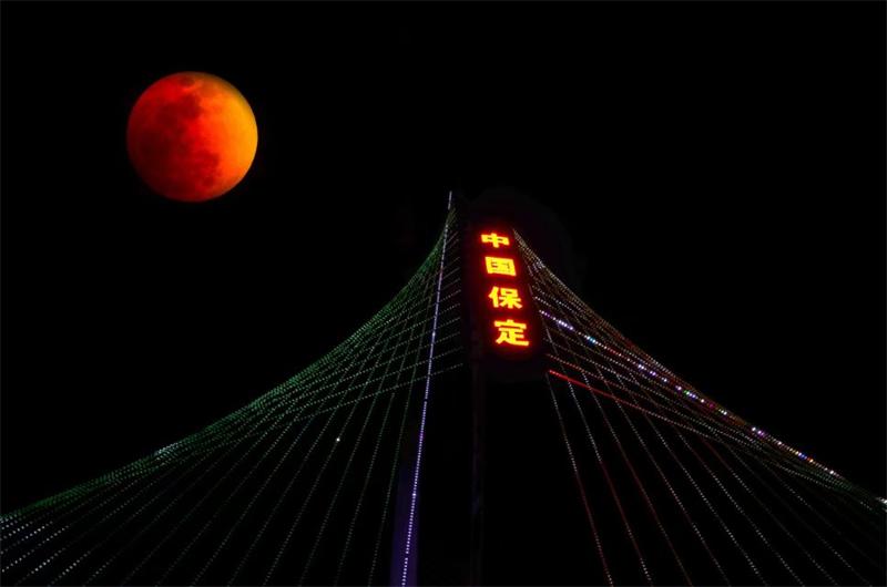保定夜景 巨力大桥图片