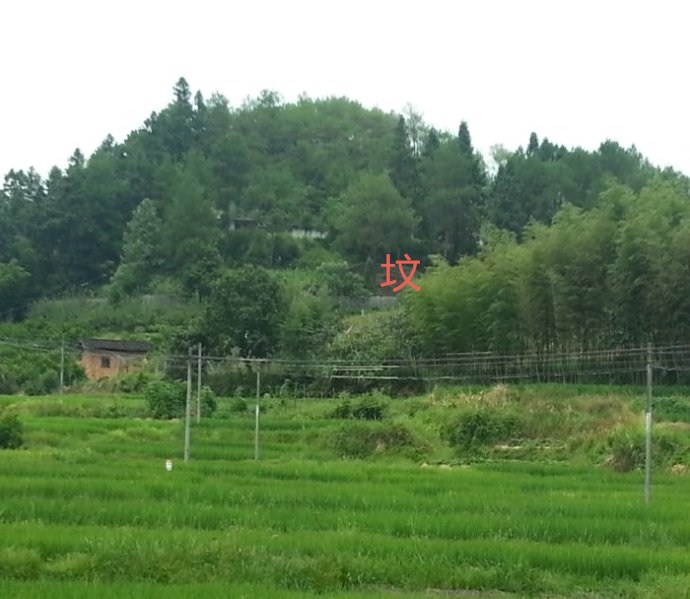 建阳蔡氏九贤祖坟风水考察