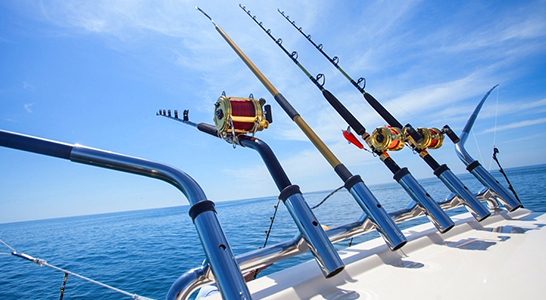 【海上活动】海钓一日游(昼钓)day fishing trip(day fishing)