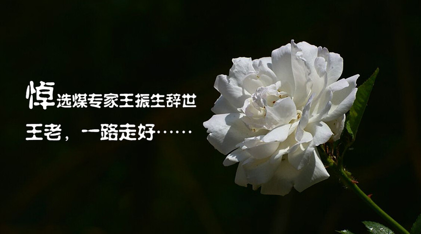 深切缅怀王振生教授之情真意切