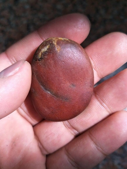 几百元你就能买到一个和田玉"红沁籽料"吗?小心被砸榔头!